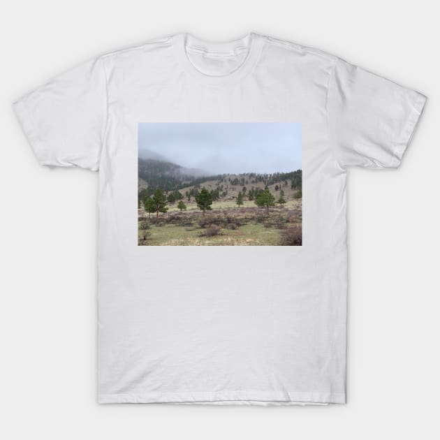 Misty Mountains T-Shirt by SymBillism